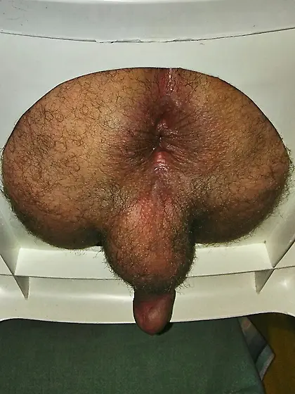 worship my hairy asshole submissive scat lover