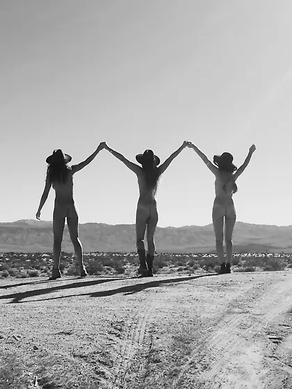 Celebrities Collection 3