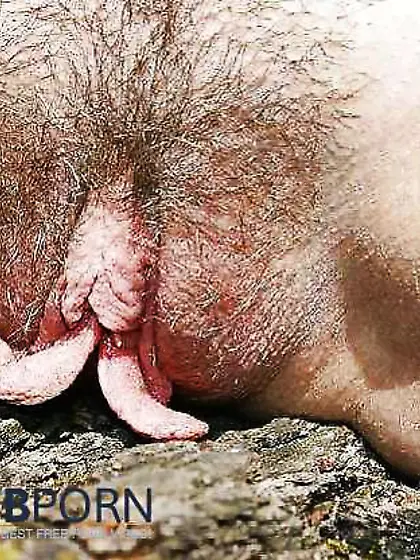 Geile Grosse Schamlippen