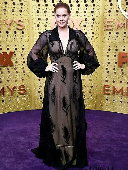 Amy Adams See Through