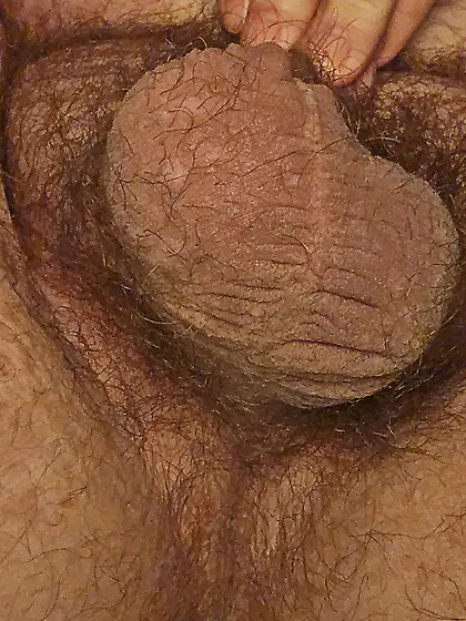Smooth balls,  hungry ass