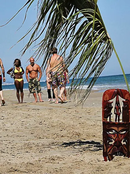 Hot-shaped young bitches showing