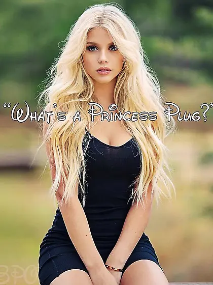 What's a princess plug?