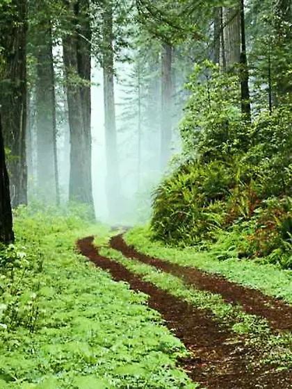 Impactful images for me - 29