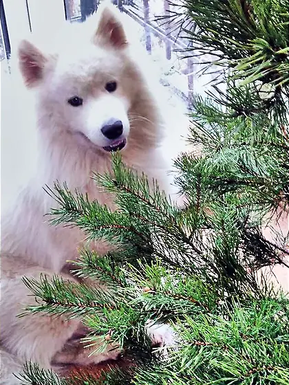 Straight stockings milf