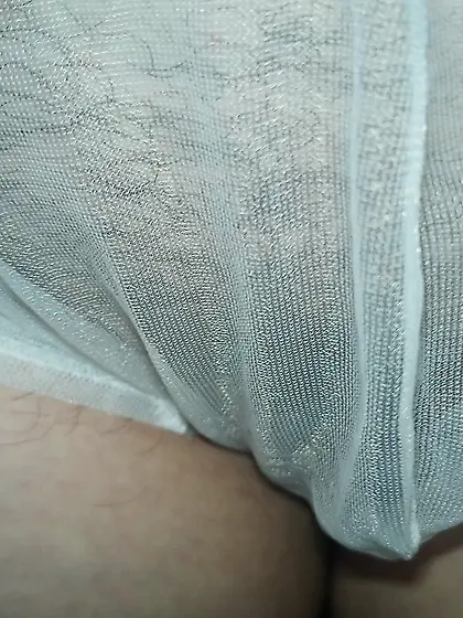 Pussy in sheer panties