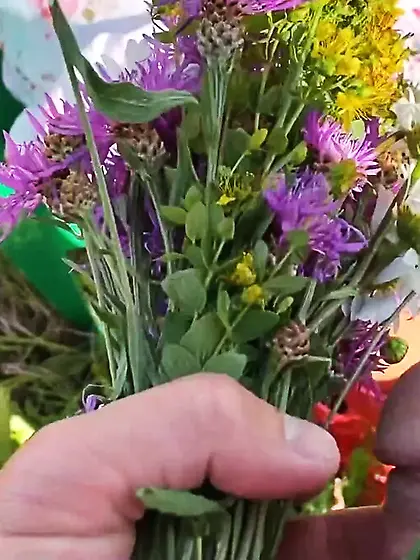 Tanned rich teen rough sex outdoor