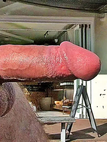 WNBR erection flasher Byron Bay d