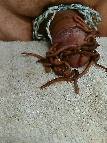 Tanz der Würmer 5. 8. 2025