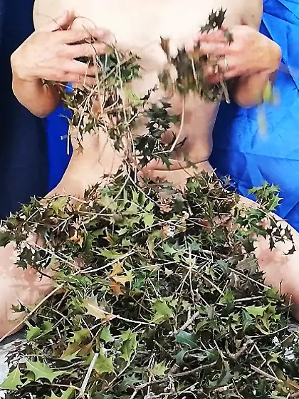 柊の葉の棘に感じている