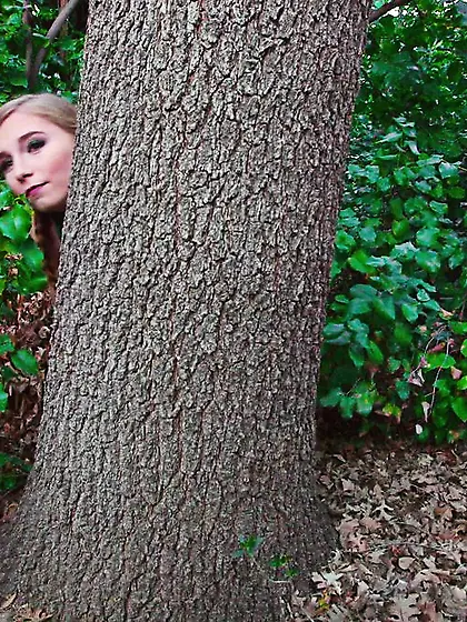 Curious small fairy house