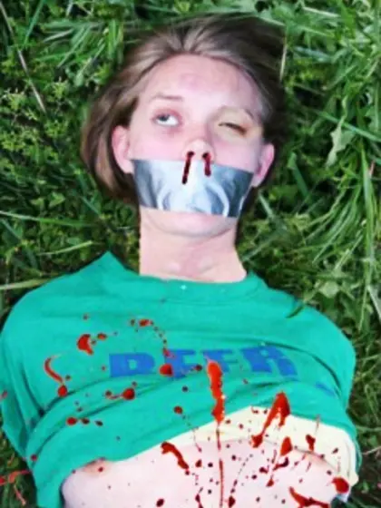 Katie's Pitchfork Nightmare