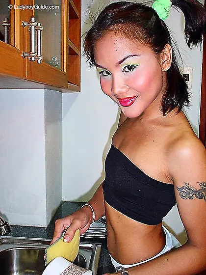 Svelte ladyboy in the shower