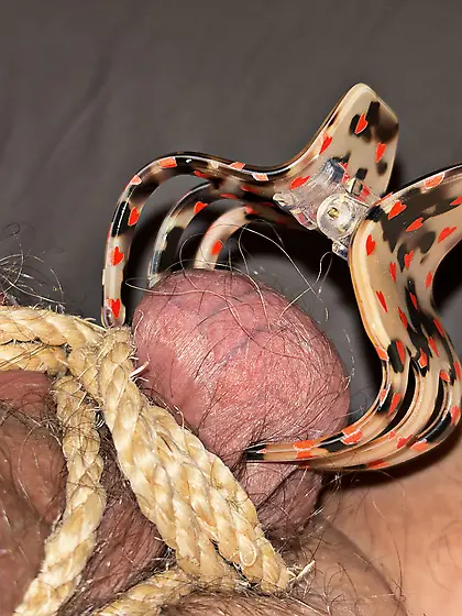 Will my balls like it?