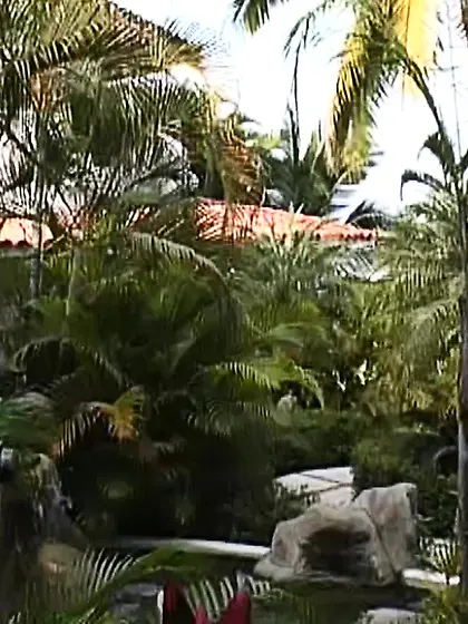 Busty blonde mature ass fucked