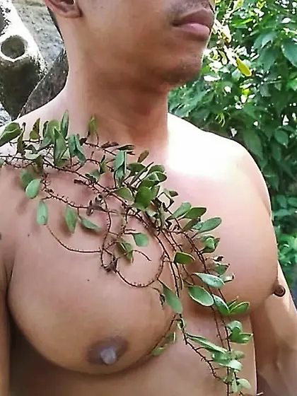 Huge (Male) Tits of every flavor