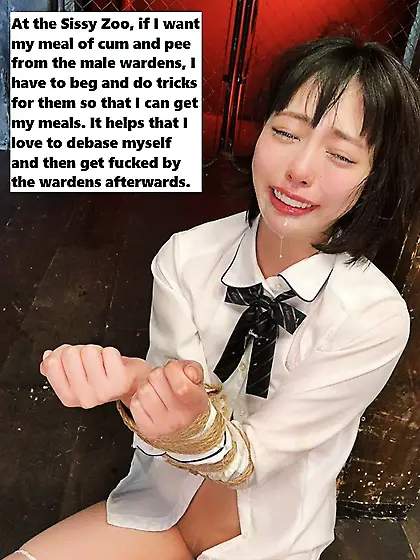 the desired bdsm world of me sissystephanie