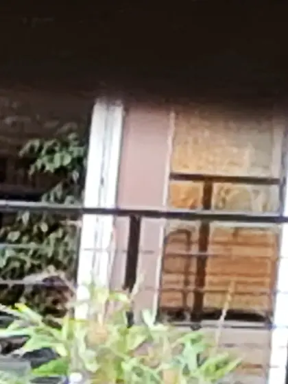 Jeune voisine qui bronze