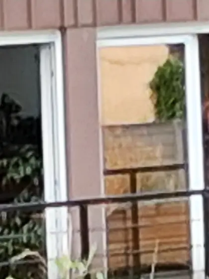 Jeune voisine qui bronze