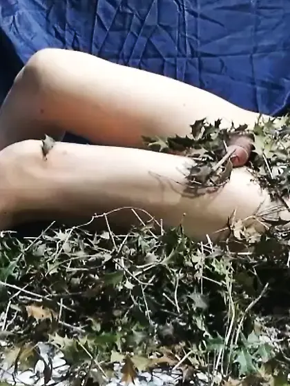 柊の葉の棘に感じている