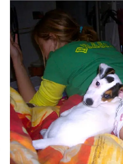 Young blonde round arse face down