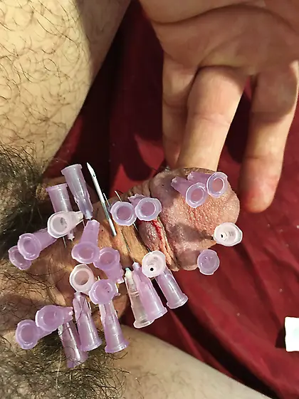 Cock as pin cushion.