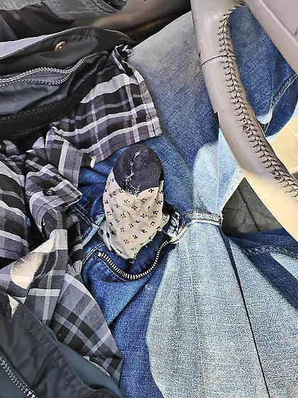 Scott Hardin Brewster